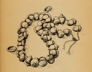 acorn necklace
